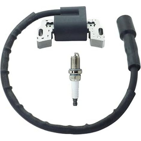 Bobina de encendido de alto voltaje compatible con 594626, 594456, 795315 y 592841, con bujía. (1/4)