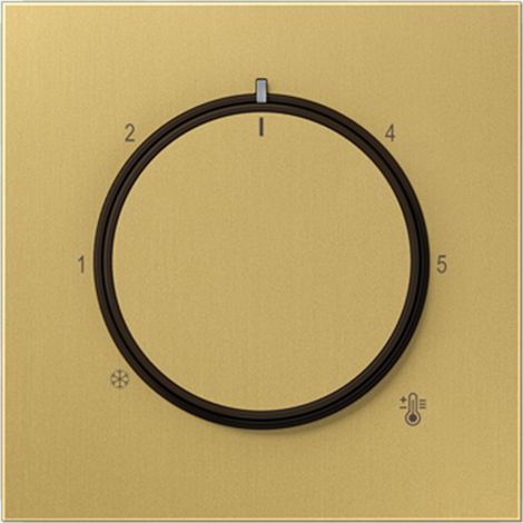 Jung Tapa para termostato, Serie LS, Messing classic ME 1749 C