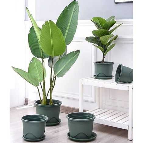 Pot À Fleurs - Plastique Épais - 19 Cm - Avec Soucoupe - Pour Repiquage Et Culture De Jeunes Plants - Lot De 6 (1/5)