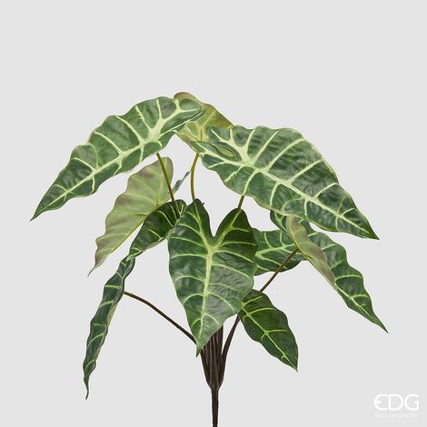 EDG Enzo De Gasperi Alocasia Cespuglio x10 H 40 Cm Pianta Artificiale Mix Verde