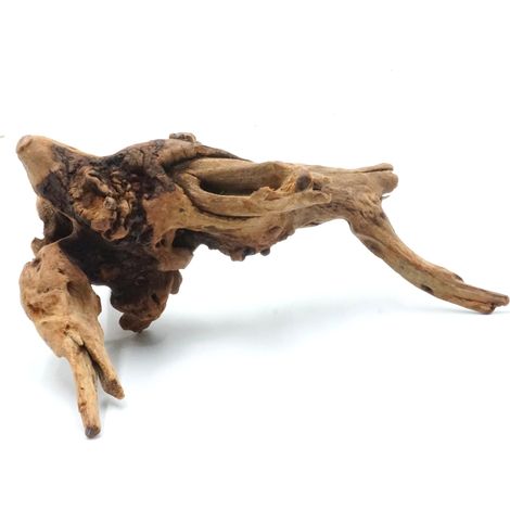 Radice decorativa XS 5-12 cm, foresta in vaso (1/5)