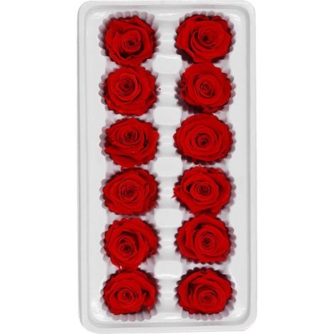 12 Têtes de Roses Immortelles Rouges pour Décoration Mariage et Bouquet DIY, Fleurs Préservées Tiges de 3 à 4 CM, Présent Romantique (1/5)