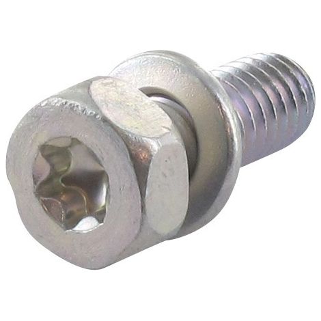 Tornillo BRIGGS & STRATTON 690341