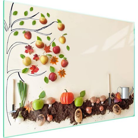 Plaque de protection en verre pour four à légumes 70x52 (1/5)