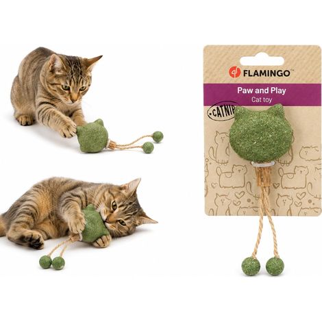 Jouet TÊTE DE Chat avec Rubans Vert 5x2x15CM (1/3)
