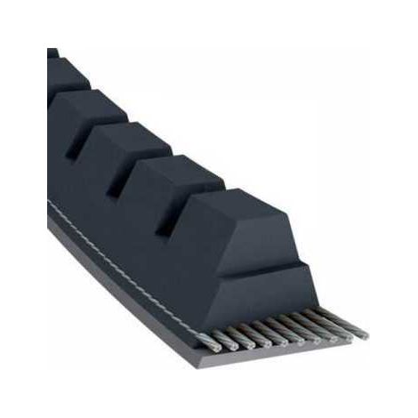 Courroie tondeuse XPZ630 trapézoïdale crantée  9,7 x 642 mm (1/5)