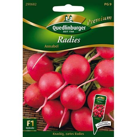 Quedlinburger Radies Annabel - Gemüsesamen