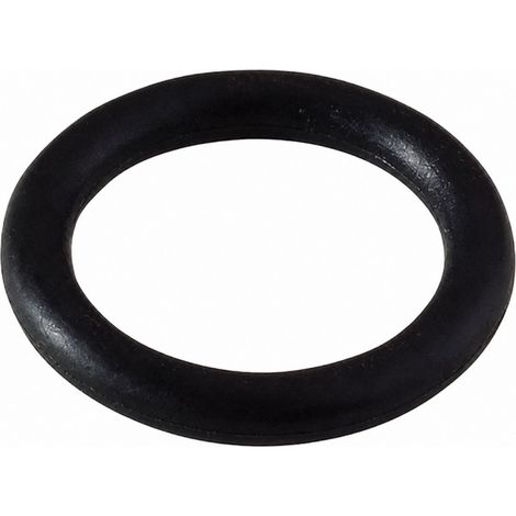 O-Ring-Packung Nummer 13 (16.9x2.7), 20 Stück
