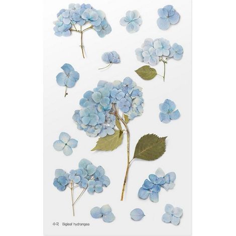 Adesivi decorativi a forma di fiore - Ortensia