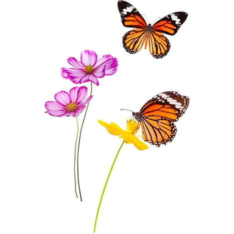 Autocollant Mural Fleurs et Papillons (1/2)