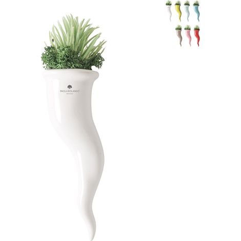 Plante succulente en pot cornet en céramique Paola Rolando Partenope - Blanc (1/4)