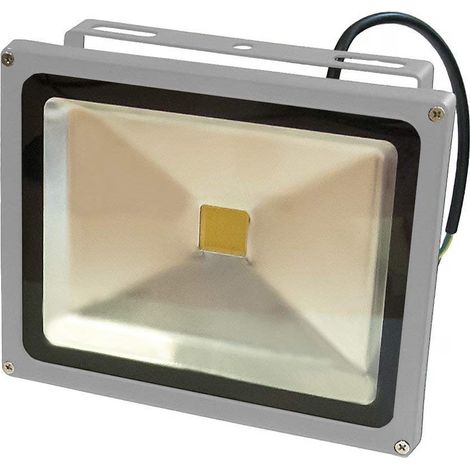LEDVero® 30W LED proiettore faro argento bianco caldo con spina IP65 (1/3)