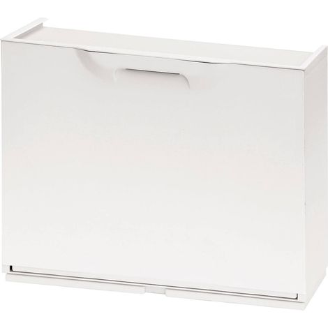 Dmora Scarpiera con 1 anta a ribalta in polipropilene, Mobiletto componibile da interno o esterno, 100% Made in Italy, cm 51x18h40, color Bianco, con imballo rinforzato
