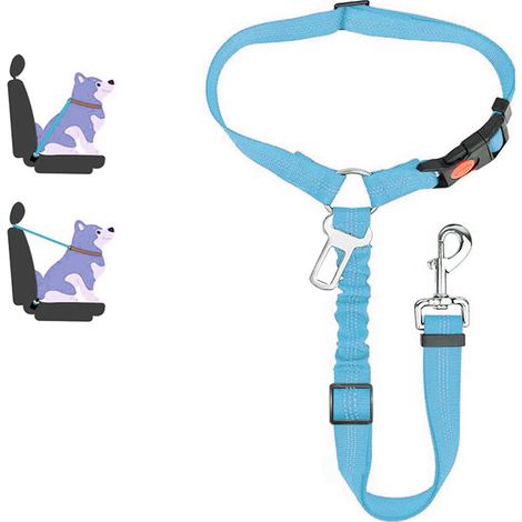 Laisse portable pour chien avec design réfléchissant ajustable, bleu clair, taille standard.