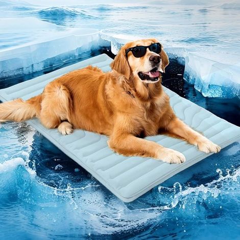 Kühlmatte für Hunde – Tragbar – 150 x 101 cm – Sommer-Hundebett – Rutschfest – Waschbar – Blau – XL (1/5)