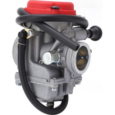 Professioneller 28-mm-Vergaser (1,1 Zoll) als Ersatz für Jianshe JS250 Mountain Lion 250-cm³-ATV (1/5)