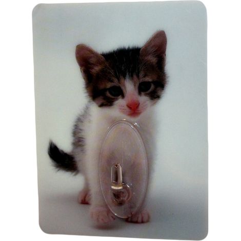 Gancio adesivo decorativo a forma di gatto