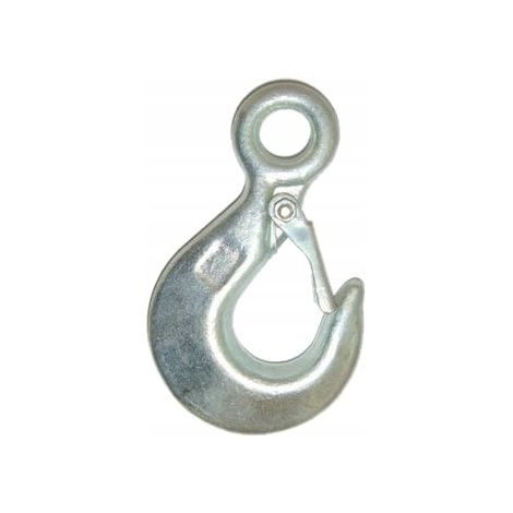 Ganci con occhiello e fermo di sicurezza 2,5 t DIN 689 (1/5)