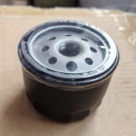 Die Ölfilter 492932, 492056, 695396, 696854, 49065-7007 sind Einschraub-Ölfilter, die Verunreinigungen aus dem Motoröl filtern. (1/4)