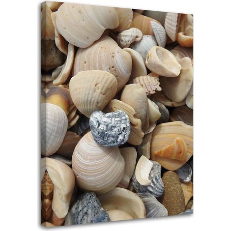 Tableau sur toile Coquillages Pierres Mer 70x100 (1/5)