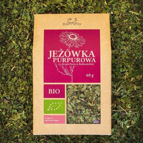 Échinacée pourpre bio 60 g - Kornino (1/2)
