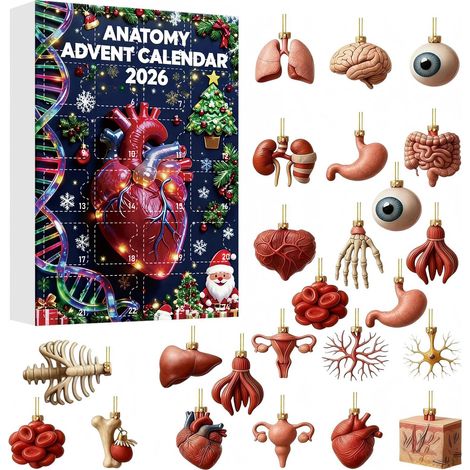 Calendrier de l'Avent Anatomie 2026, 24 décorations suspendues en acrylique 2D représentant des organes humains, ornements de sapin de Noël originaux pour les passionnés de médecine (1/5)