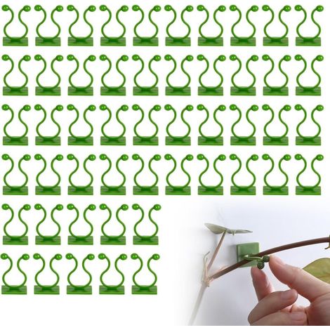 Clip di supporto per piante, clip da parete per piante rampicanti, clip di supporto per piante rampicanti, clip per piante, clip di fissaggio per piante, per giardinaggio, tralicci