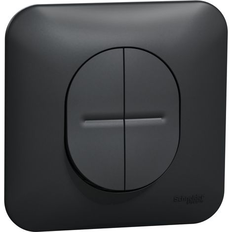 Ovalis double va et vient 10AX avec griffes Avec plaque -Anthracite SCHNEIDER S465214