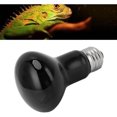 Ampoule E27 pour amphibiens, serpents, reptiles, à incandescence, chauffante, veilleuse, lumière du jour, 50 W (1/5)