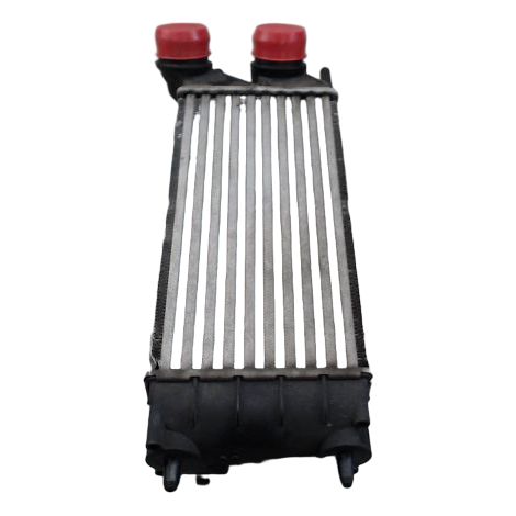 Echangeur Air CITROEN Berlingo [PRODUIT D'OCCASION]♻️0384n9 (1/3)
