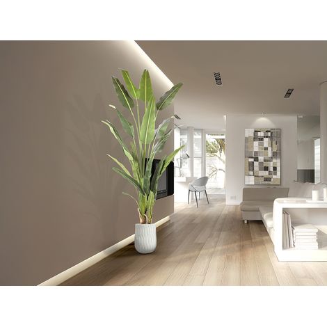 Planta PALMA VIAJERO artificial H240