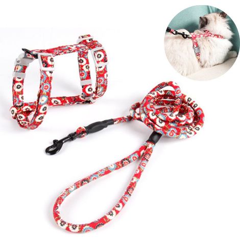 Laisse rouge pour chat taille S (1/5)