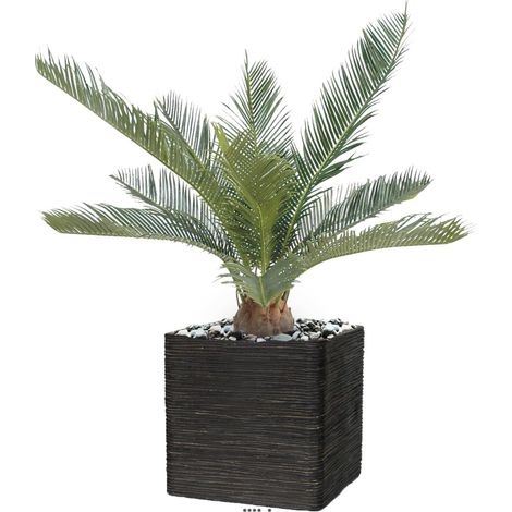 Palmier Cycas Artificiel en pot H 50 cm Vert - dimhaut: H 50 cm - couleur: Vert (1/3)