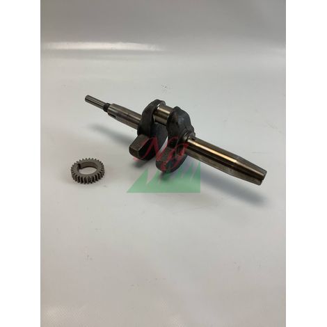 BRIGGS & STRATTON 492474 Original Motorhacken-Kurbelwelle (1/4)