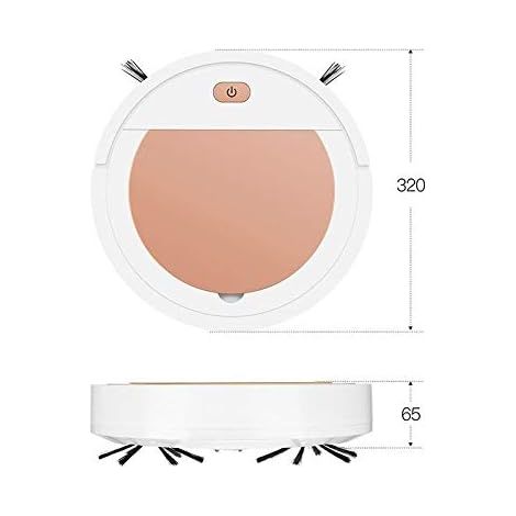 Aspirateur Robot 2 en 1, Balayage Autonome et Nettoyage Multi-Surfaces Robot Aspirateur avec Batterie 1200mAh, Aspiration Ultra Fine Silencieuse pour Tapis, Sol Dur, Poils d'Animaux, Noir MNS (1/4)