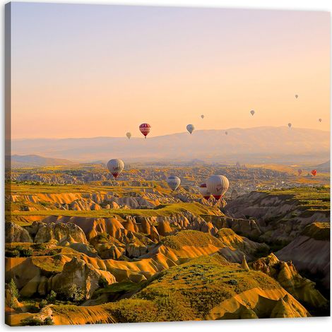 Impression sur toile Nature Ballons 40x40 cm
