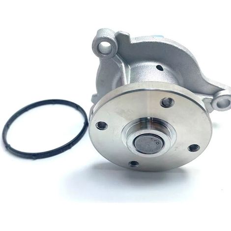 La référence 2510003010 convient aux pompes à eau des Hyundai I10 I20 et Kia Rio 1.2L. (1/4)