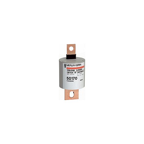 Vigilohm, Auxiliaire Cartouche Cardew type 660 V C  - 50172
