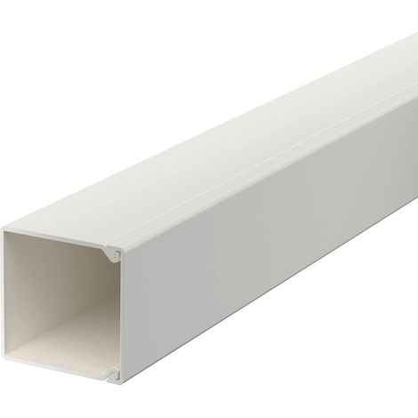 OBO Bettermann Goulotte murale et de plafond avec perforation de fond 25x25x2000 Polychlorure de vinyle blanc pur RAL 9010, 6191053