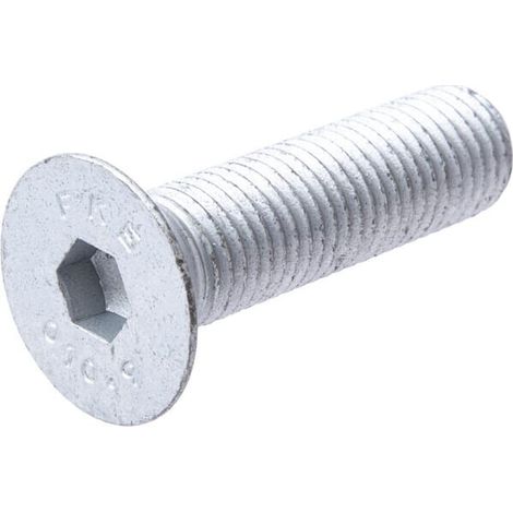 Vite testa svas M16x60-10.9 zn LEMKEN 3016146 (1/2)