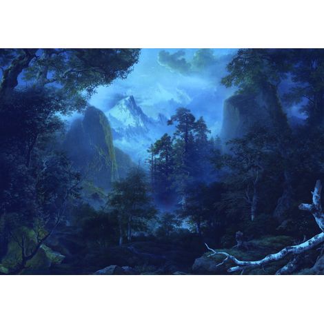 papier peint panoramique forêt Noire bleu et vert  - Sanders & Sanders (1/5)