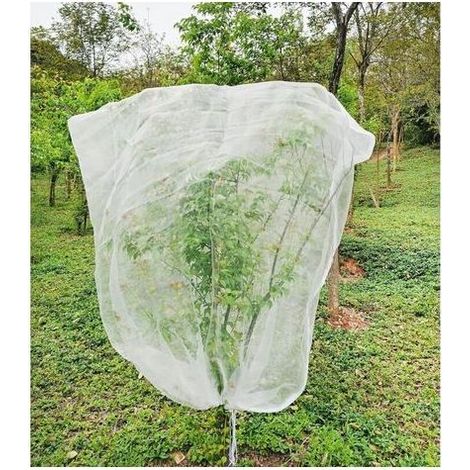 Filet Arbre Fruitier 1.8m X 1.8m. Filet Anti-Insectes pour Plantes. Filet Anti Insectes Maille Fine avec Cordon de Serrage. Filets Anti Oiseaux pour Protection Fruitiers. Arbre (1/5)
