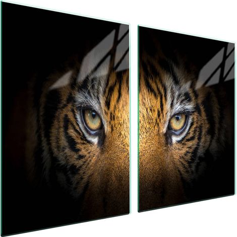 Plaque de protection en verre pour poêle 2x45x52 Tiger (1/5)