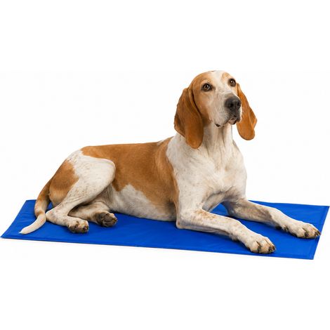 lionto Kühlmatte, angenehme Abkühlung für Hunde & Katzen, selbstkühlend & sicher, ideal für Sommer & Reisen, 120x80 cm, blau