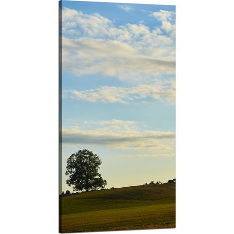 Leinwanddruck Natur Baum auf einer Wiese 60x120 cm Himmel Wiese Wolken