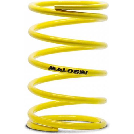 Ressort d embrayage Malossi pour scooter MBK 100 Booster (1/2)