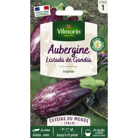 Aubergine Listada de Gandia - Cuisine du Monde Vilmorin