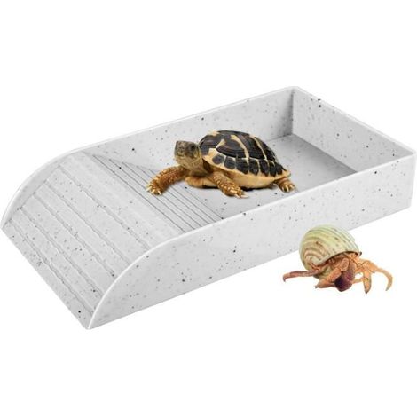Gamelle à eau pour tortue - MARQUE - 30,5 x 14,8 x 5,8 cm - Plastique ABS - Antidérapante - Multifonctionnelle (1/4)