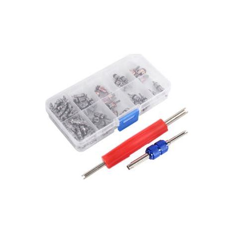 QORVA-Assortiment de 102 pièces A/C R134a/R12, Kit d'outils pour noyaux de tige de Valve de pneu de réfrigération (1/5)