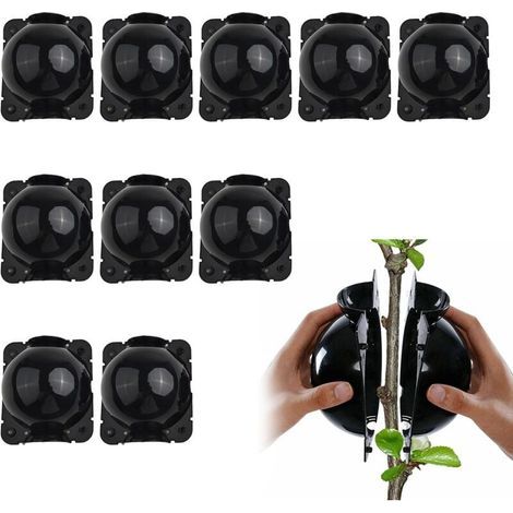 Boîtes D'enracinement pour Plantes Greffage Formation de Racines Boule de Propagation Haute Pression 10 Pièces Noir Taille S (1/4)